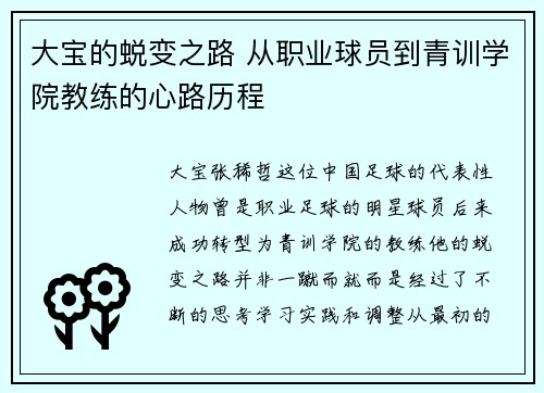 大宝的蜕变之路 从职业球员到青训学院教练的心路历程